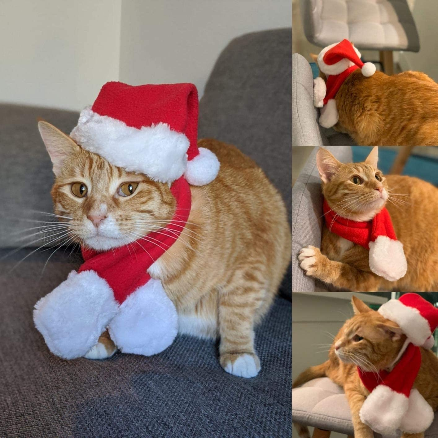 PETLESO Cat Santa Hat with Scarf, Christmas Hats for Cats Small Dog Santa Hat Christmas Costume for Cat Rabbit Puppy Doll Decoration, Red S image number 2