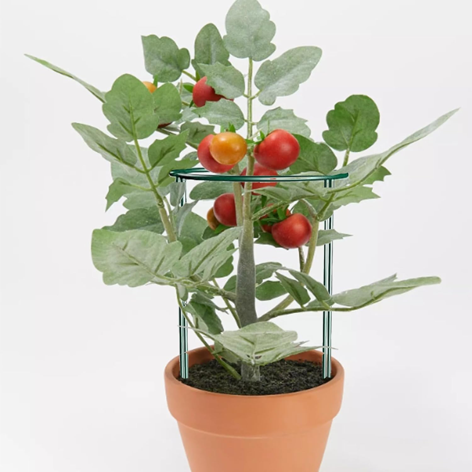 33Pcs Plant Support Stakes,12Pcs Semicircular Plant Stakes for Indoor Plants,20Pcs Plant Clips,Plant Sticks Support Tall for Monstera,Tomatoes,Rose