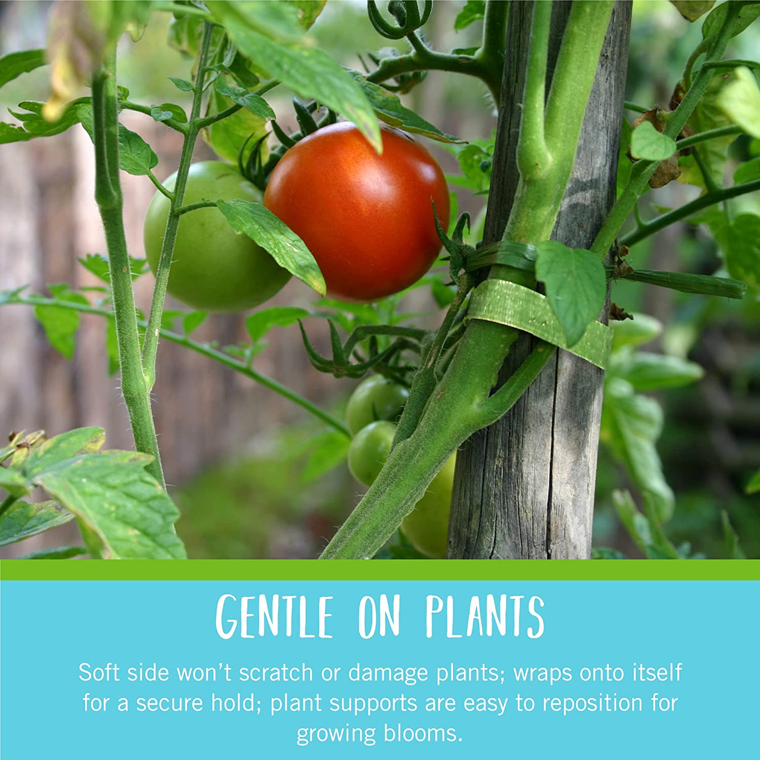 VELCRO Brand VEL-30071-USA ONE-WRAP Garden Ties | Plant Supports for Effective Growing | Strong Grips Are Reusable and Adjustable | Cut-To-Length, 50 Ft X 1/2 In, Green-Recycled Plastic