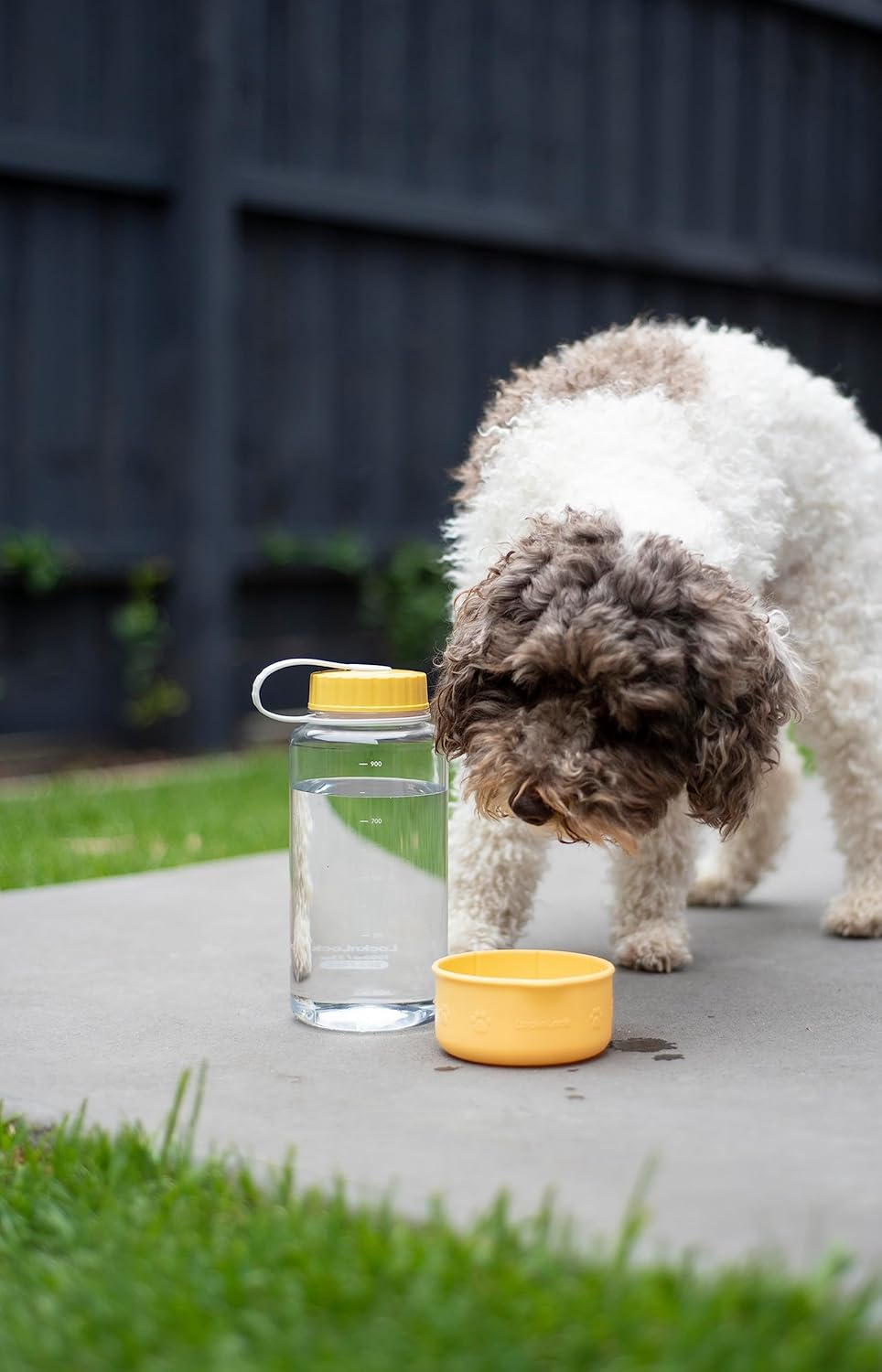 Lock & Lock Pet Water Bottle, 1 Litre Capacity