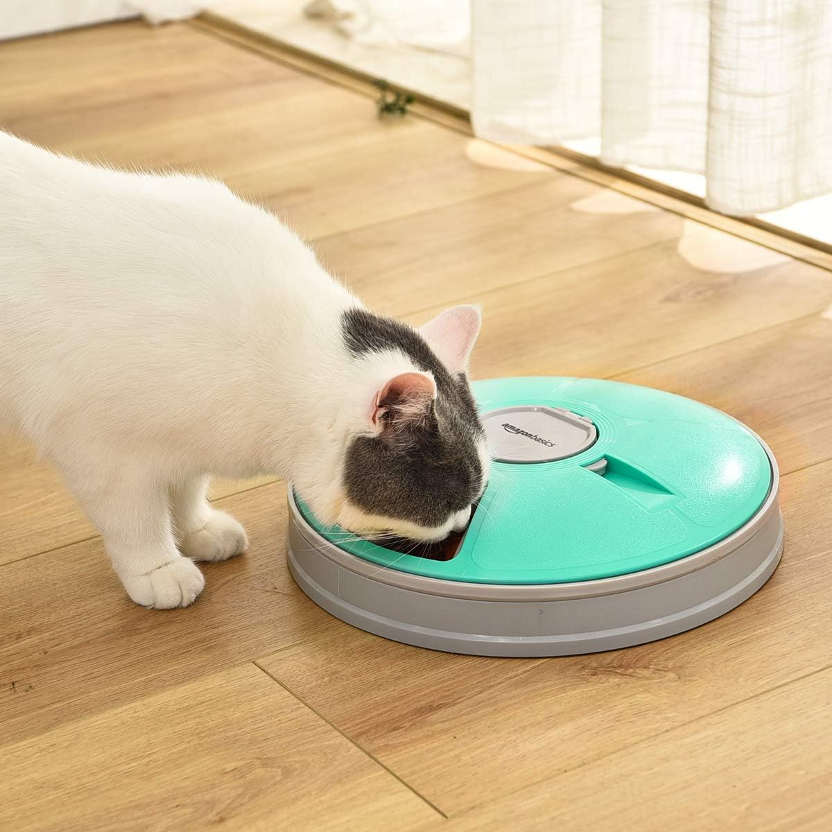 Amazonbasics Electronic Timed Pet Feeder, Teal image number 1