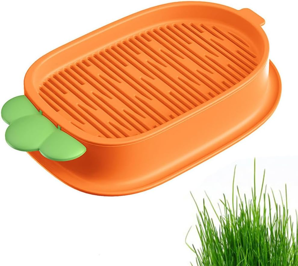 Cat Grass Growth Kit Hydroponic Planter for Cat Grass Box for Planting Cat Grass Organic Cat Grass for Pets for Dogs and Cats image number 3