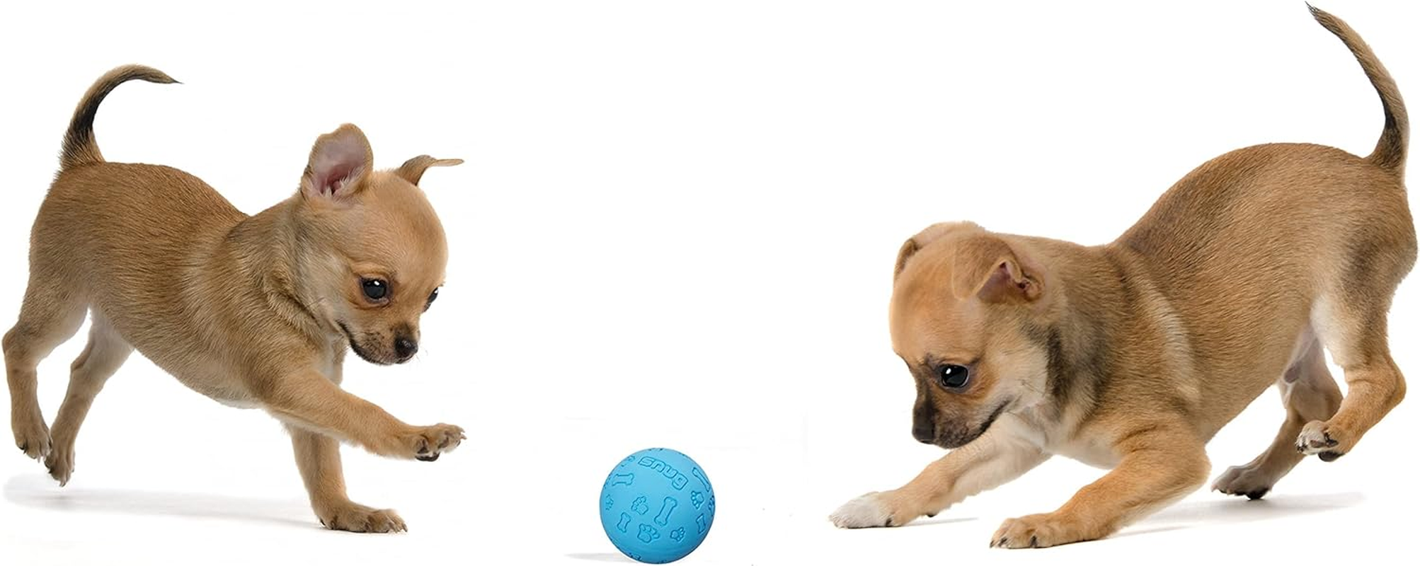 Snug Rubber Dog Balls for Small and Medium Dogs - Tennis Ball Size - Virtually Indestructible (3 Pack - Cool) image number 1