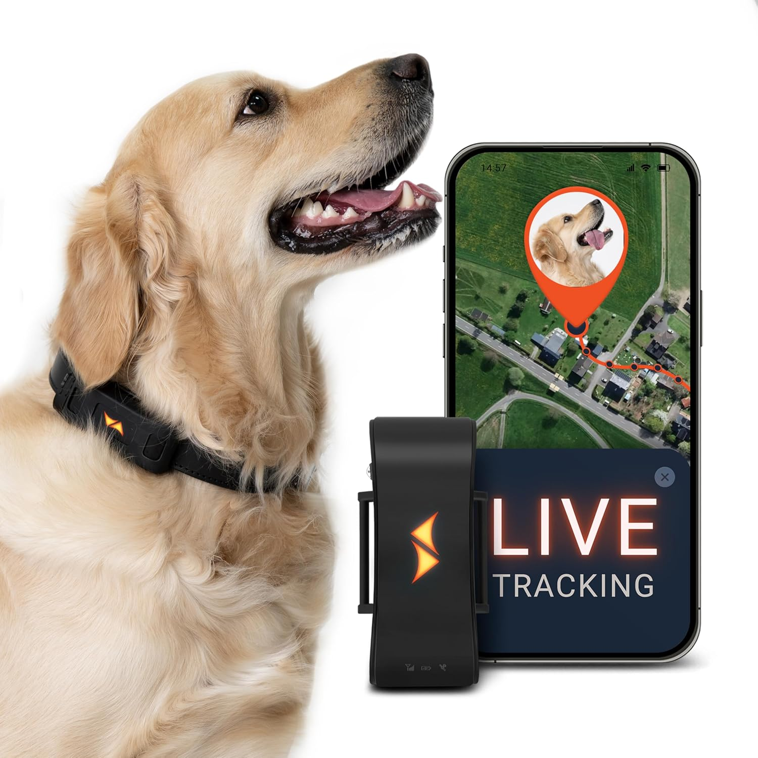 PAJ PET Tracker for Dogs - Worldwide Live Tracking + Health Monitoring + Runaway Alerts - up to 10 Days Battery Saver - Glowing LED Cases - Waterproof (IP67) - Fits Any Collar - Black