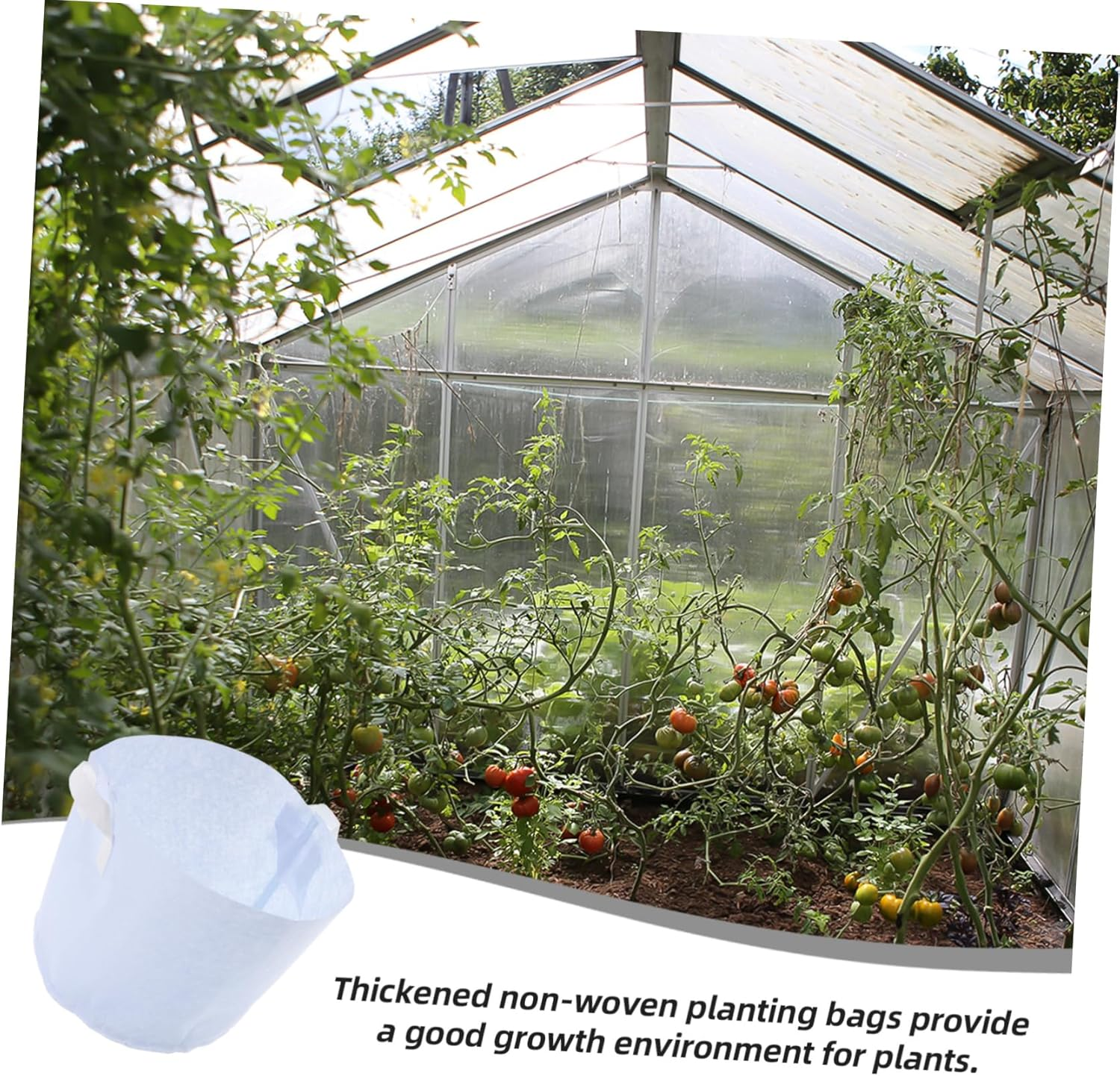 CANIGHT 10Pcs Plant Grow Bags with Handles Potato Grow Bags Fabric Pots Root Container Reusable for Gardening image number 2