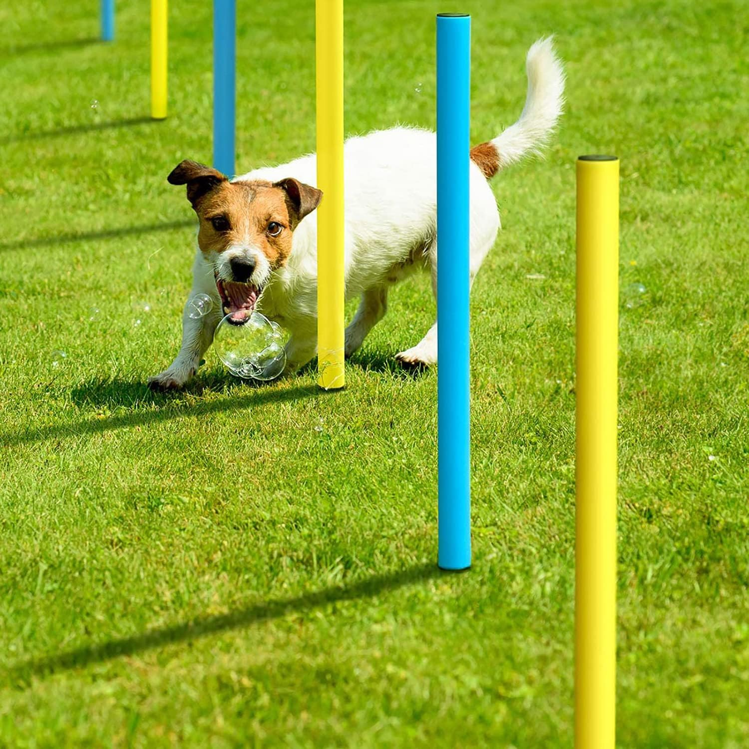 Dog Agility Weave Poles Dog Agility Training Equipment with Adjustable Spacing for Dog Obstacle Course Outdoor, Keep Pets Healthy