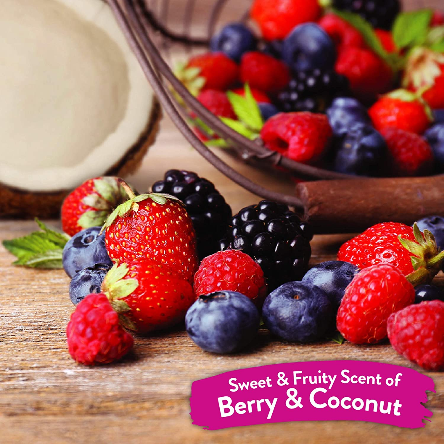 Tropiclean Berry and Coconut Deep Cleansing Dog Shampoo 355Ml image number 1