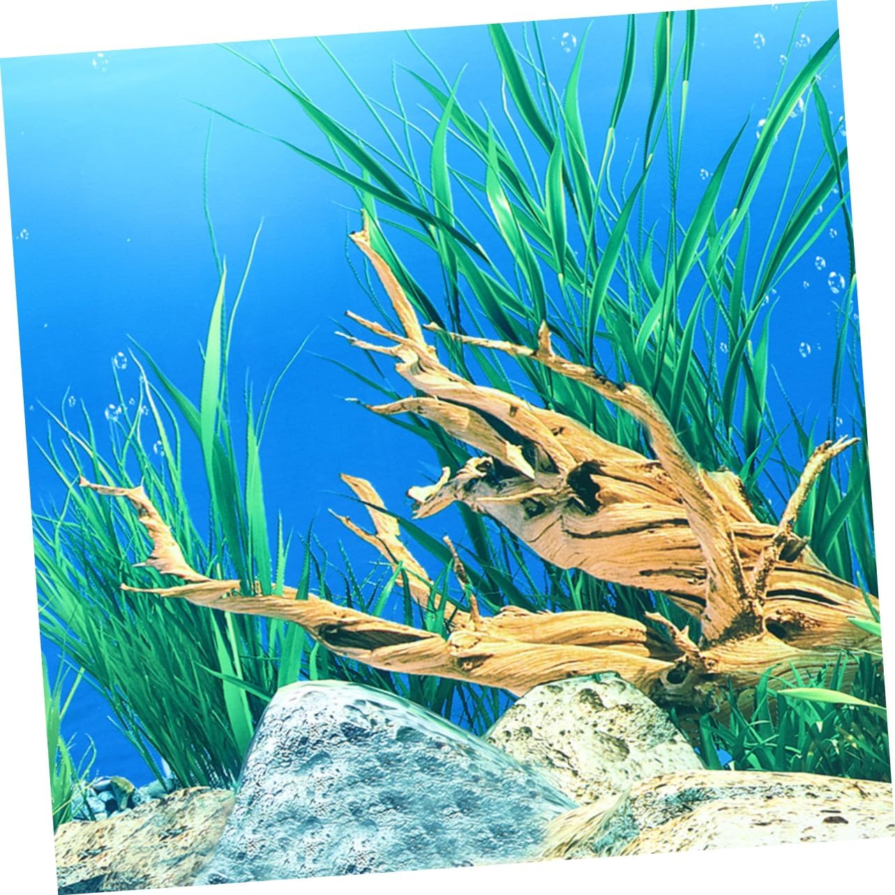HYTROVE Vivid Fish Tank Wallpaper Reversible Aquarium Decor Realistic Aquatic Scene image number 2