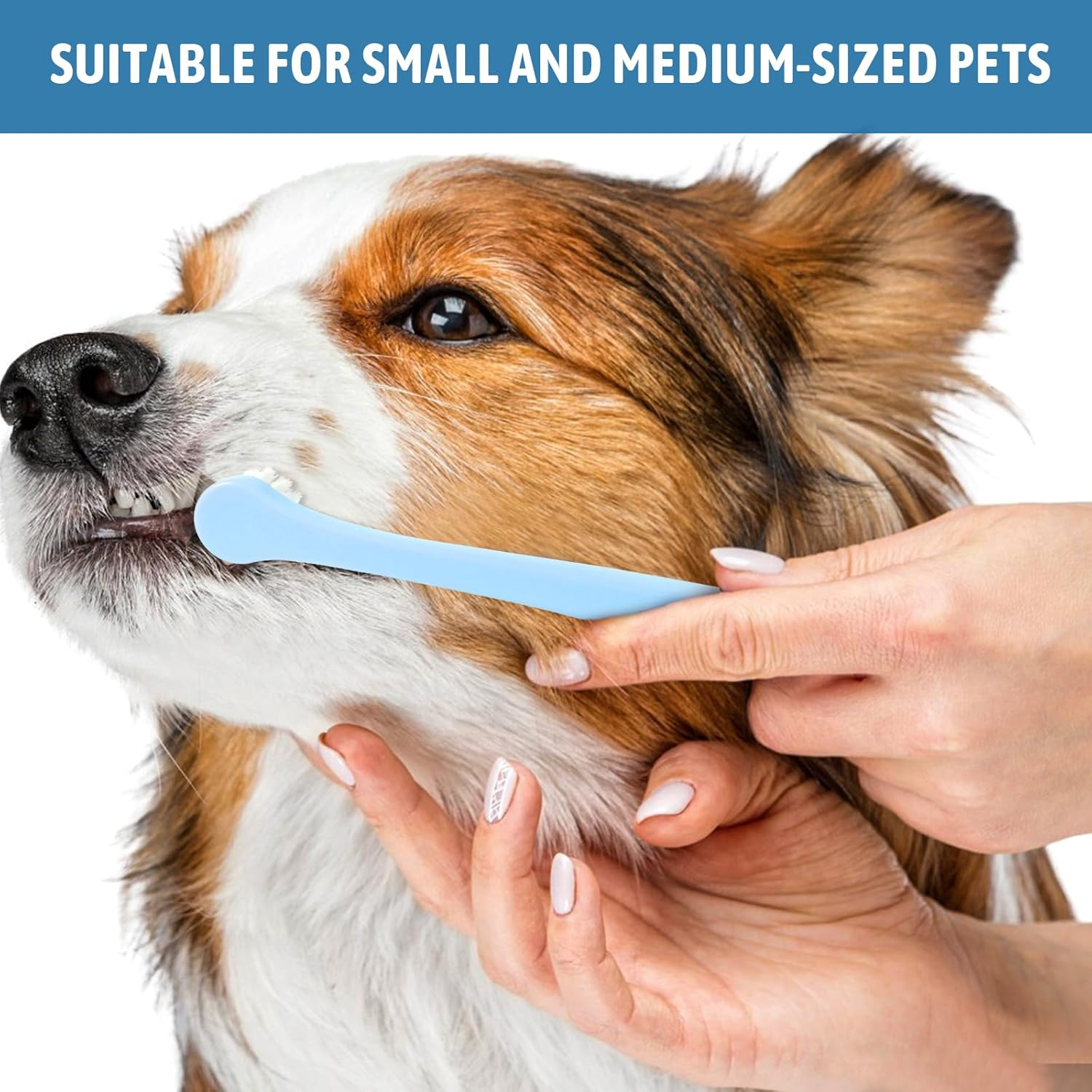 2 Pack Small Dog Toothbrush Cat Tooth Brush Pet Toothbrush Puppy Toothbrush Mini Head Soft Dog Toothbrush Deep Clean Kit, Portable Travel Friendly and Easy to Use for Puppy, Kitten, Small Dog & Cat image number 2