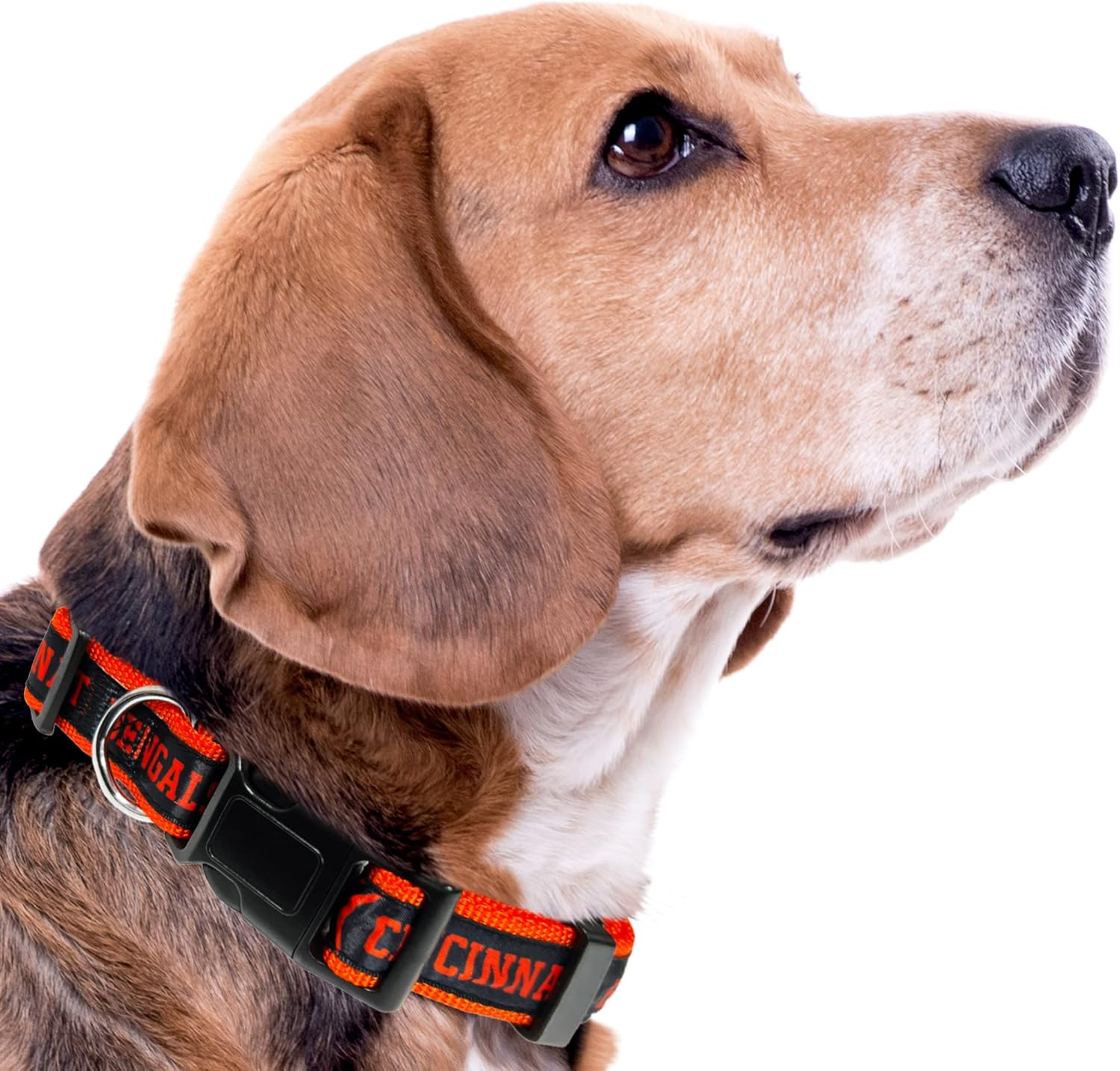 NFL PET Collar Cincinnati Bengals Dog Collar, Large Football Team Collar for Dogs & Cats. a Shiny & Colorful Cat Collar & Dog Collar Licensed by the NFL image number 4