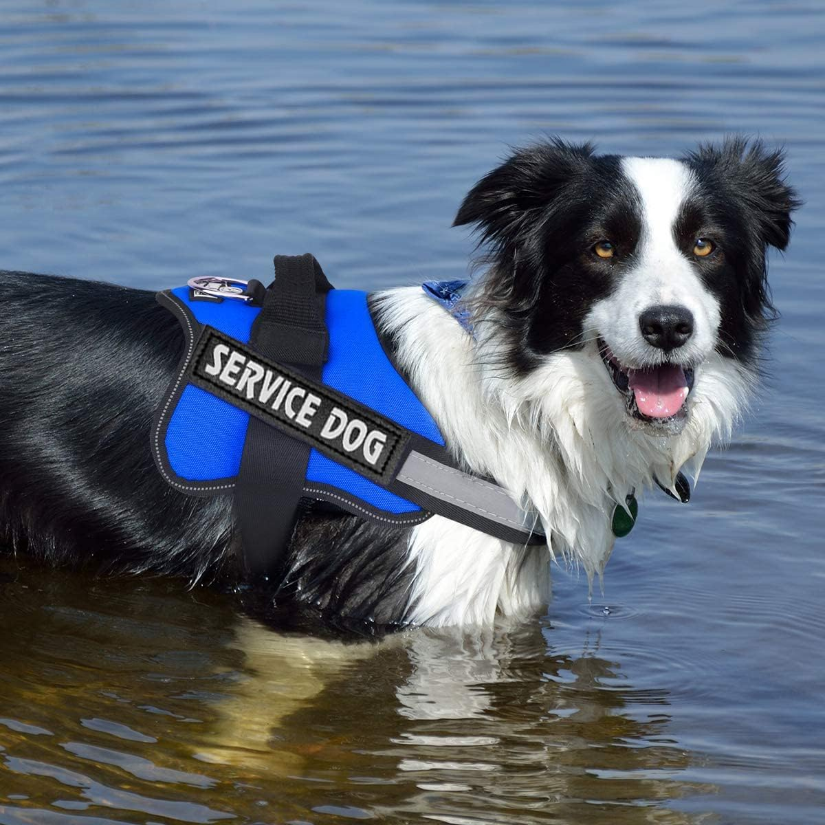 UPET No-Pull Dog Harness, Reflective Heavy Duty Adjustable Escape-Proof Padded Service Dog Puppy Vest for Small, Medium, and Large Dogs Training & Outdoor Walking, Includes 1*Dog Seat Belt.(Blue S) image number 5