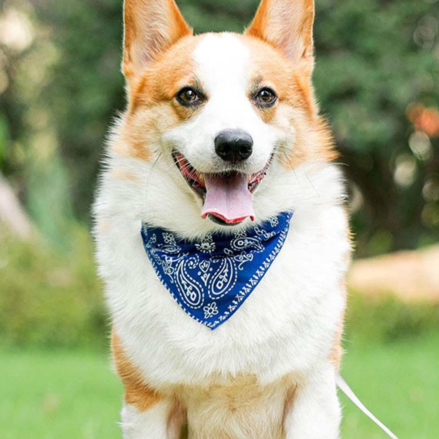 Pack of 4 Dog Bandanas Collar with Adjustable Straps, Pet Triangle Bib, Pet Saliva Cloth, Dog Bandana Headscarves, Triangular Scarf Dog Bandana, for Small, Medium Dogs and Cats, M image number 5