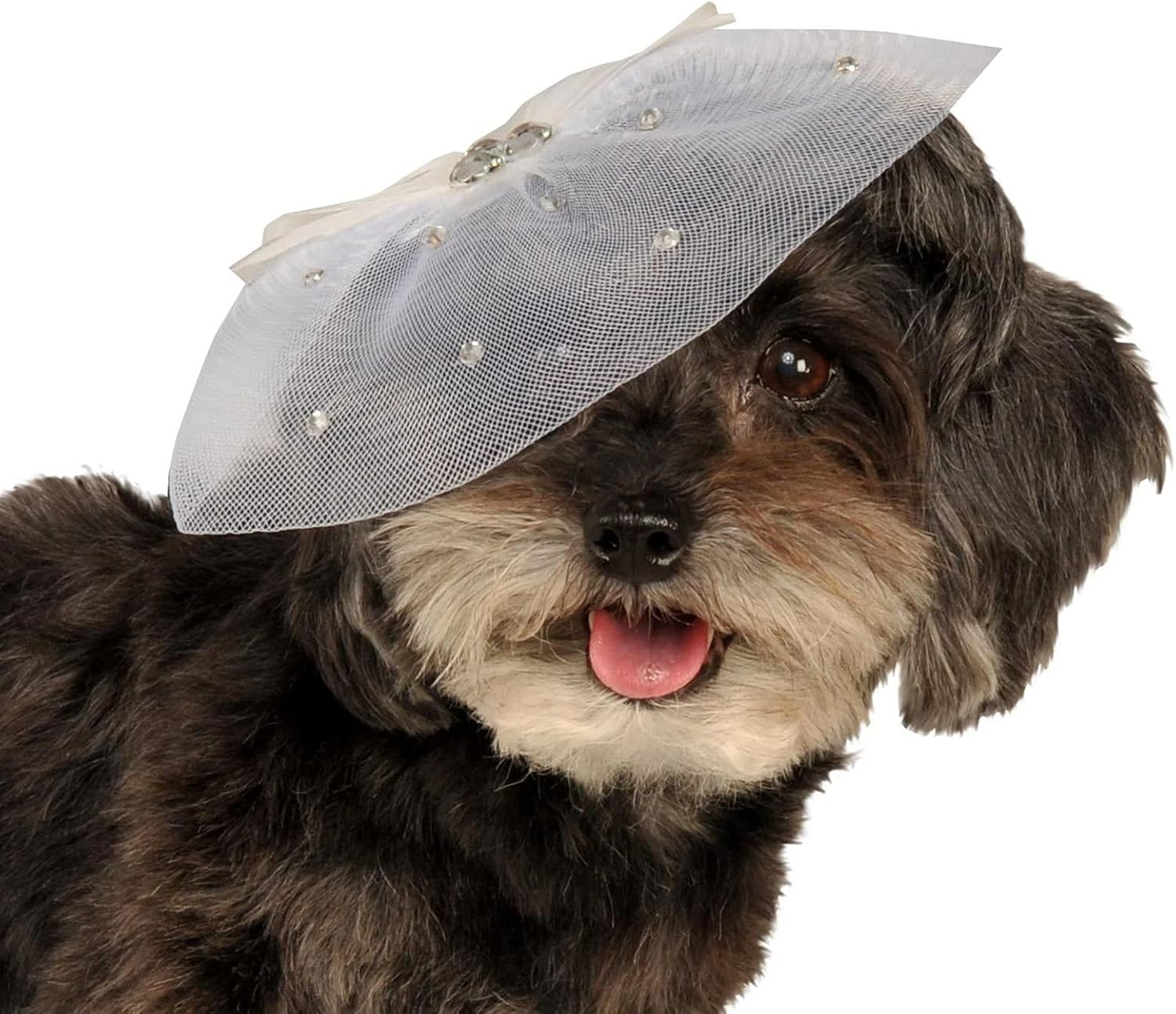 Fancy Formal Fascinator for Pets - Small-Medium (S-M)