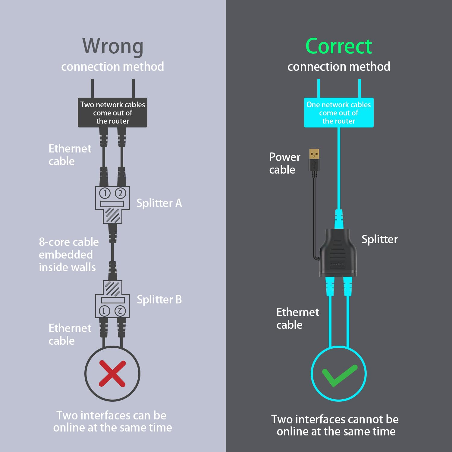Duttek RJ45 LAN Ethernet Splitter, 100Mbps RJ45 1 in 2 Y Splitter, Network Female to Female Ethernet Adapter Splitter with Power USB2.0 Male Cable 40Cm for Cat7/Cat6/Cat5.(Simultaneously Internet) image number 6