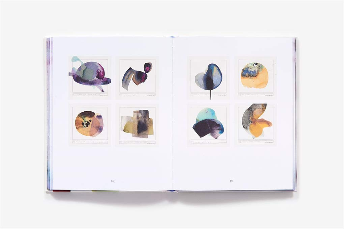 Make Ink: a Forager&rsquo;S Guide to Natural Inkmaking image number 3