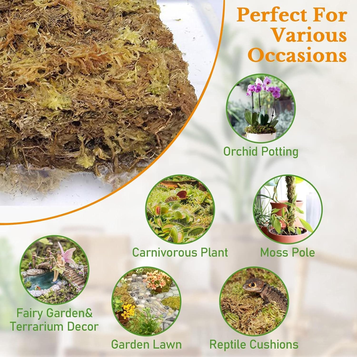 Sphagnum Moss for Plants, Natural Orchid Soil, Floral Arranging Supplies for Houseplant Gardening Aquarium Tank Pond Floral Crafts Reptile Terrariums Outdoor Decoration