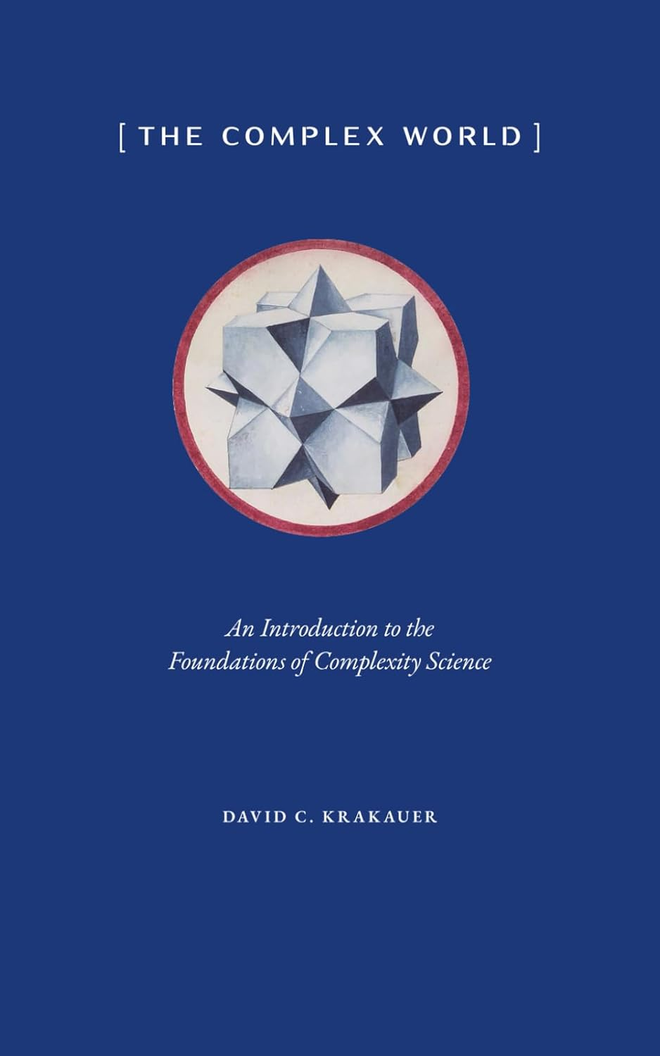 The Complex World: an Introduction to the Foundations of Complexity Science image number 2