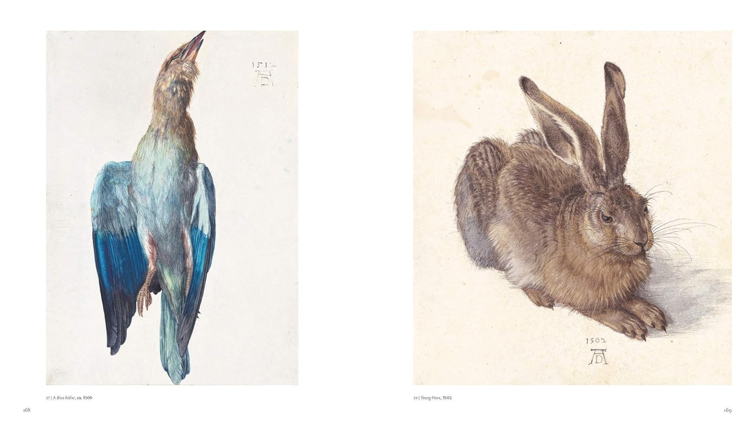 Albrecht Durer image number 4