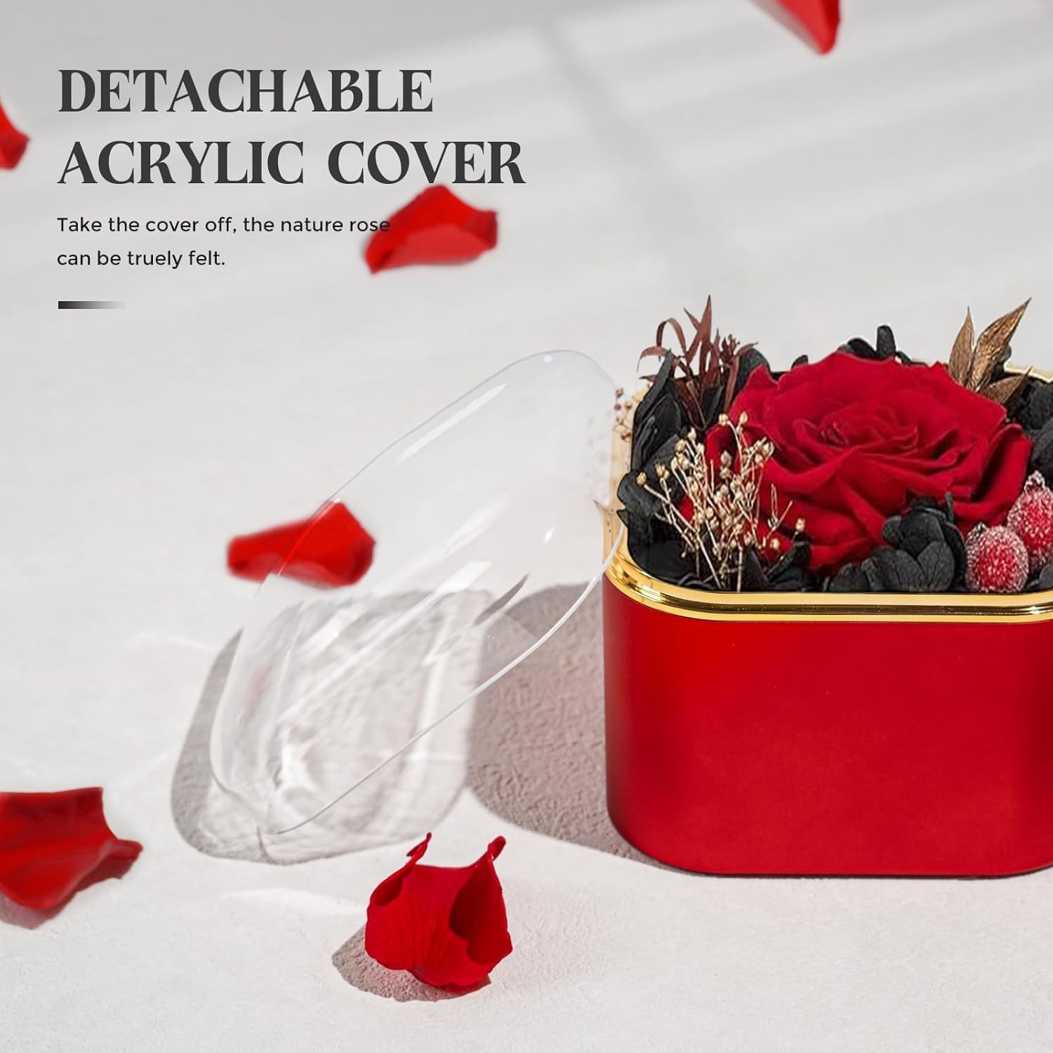 Birthday Day Rose Gifts for Women, Preserved Real Eternal Roses Mom, Box with Necklace, Romantic Forever Roses for Grandma Wife Friend, Anniversary Day image number 1