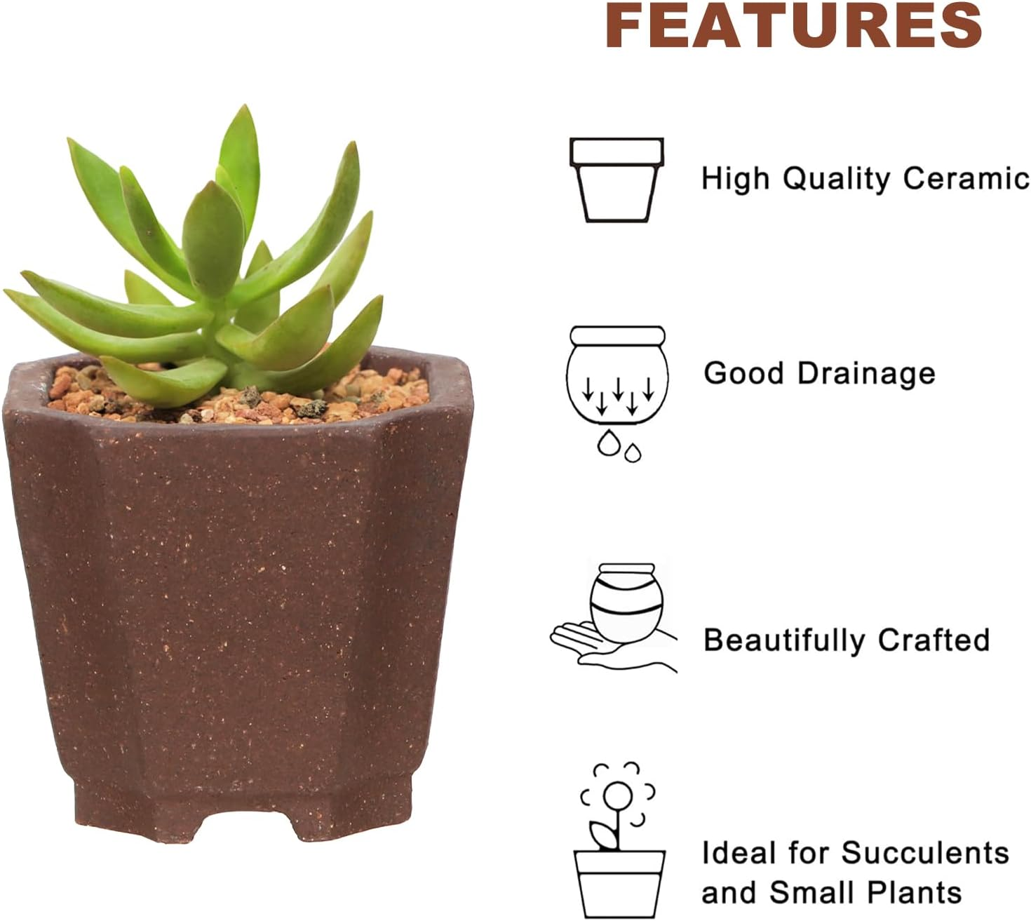 Happy Bonsai 6 Pc Zisha Mini Bonsai Pots 2" Width image number 1