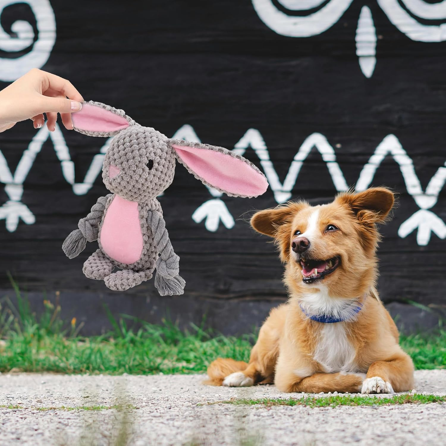 Wunive Easter Dog Toys,Easter Rabbit Bunny Egg Plush Squeaky Toys,Easter Rabbit Plush Squeaky Chew Toys for Small Dogs - Christmas A image number 6