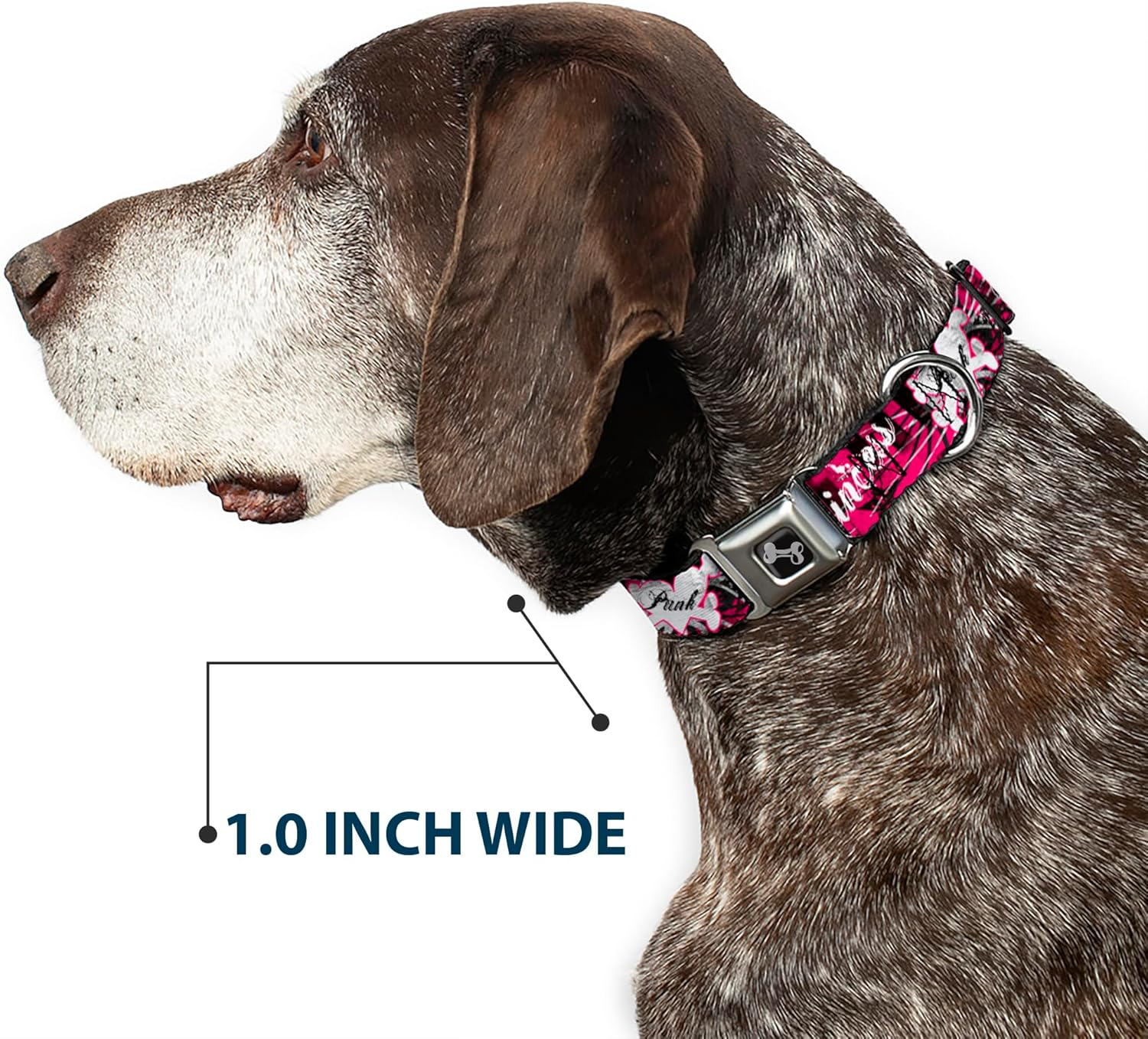 Buckle-Down Seatbelt Buckle Dog Collar - Punk Princess W/Piano Keys - 1" Wide - Fits 15-26" Neck - Large