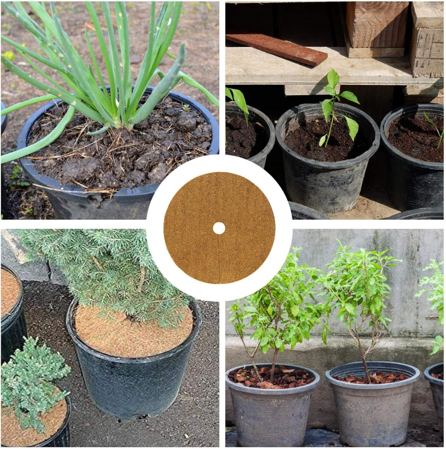 Palm Fiber Disc Mat, Coconut Mat, 10 Pieces, Coconut Liner, Plant Pot, Fiber Liner, Coconut Liner Ring, Reduces Moisture Evaporation, Prevents Drying, Suppresses Weed Growth, Reduces Temperature, - 30Cm image number 2