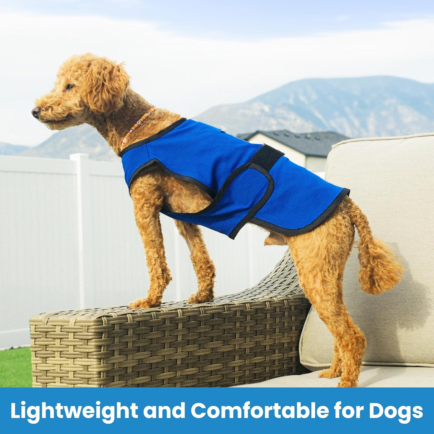 Dog Cooling Vest &ndash; Lightweight Evaporative Shirt with UV Protection for Small, Medium, and Large Dogs &ndash; Breathable Soft Fabric for Hot Weather (XL, Dark Blue) image number 6
