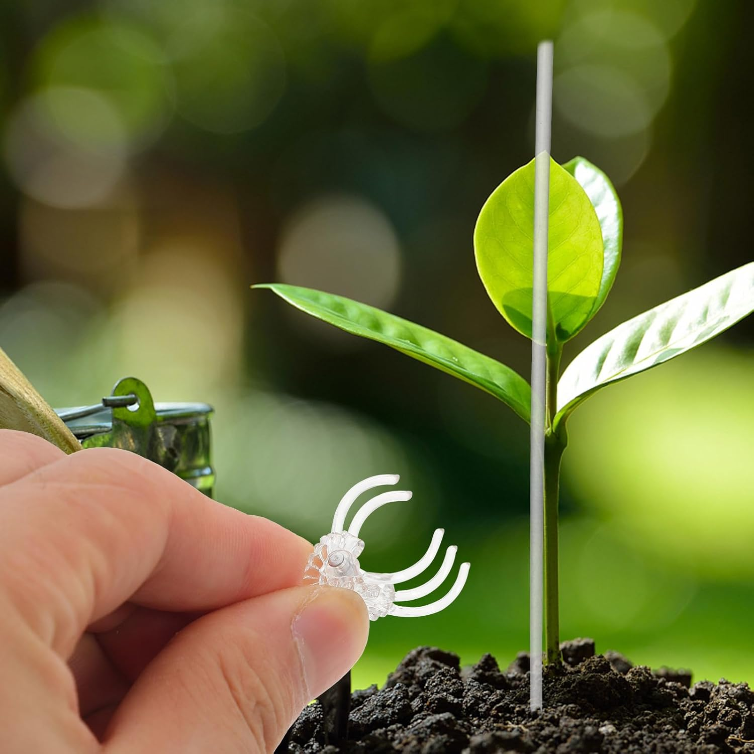 POPETPOP Orchid Stakes and Clips : 1 Set Plant Support Stakes for Indoor Plants Acrylic Plant Stakes Plant Sticks Plant Climbing Rod for Orchid Potted Plants Tomatoes image number 6