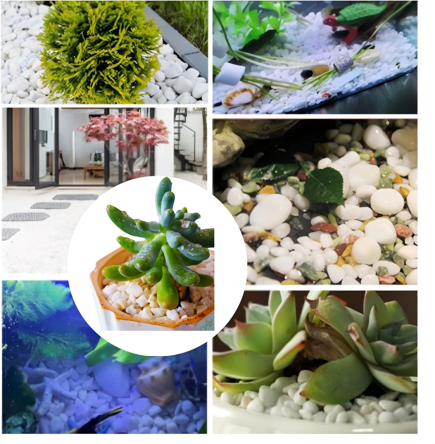 White Pebble, White Pebble Plant, 1-3Cm White Gravel for Indoor Plants, River Rocks Pebbles for Plants, Home DIY Decor, Aquarium Gravel, Vase Fillers, Landscaping Outdoor Stones(1.65 Lb White)