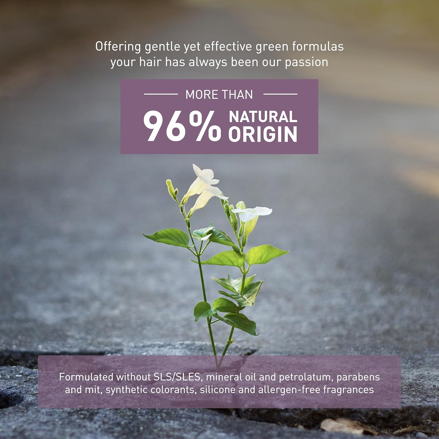 Insight Damaged Hair Restructurizing Shampoo 400Ml image number 3