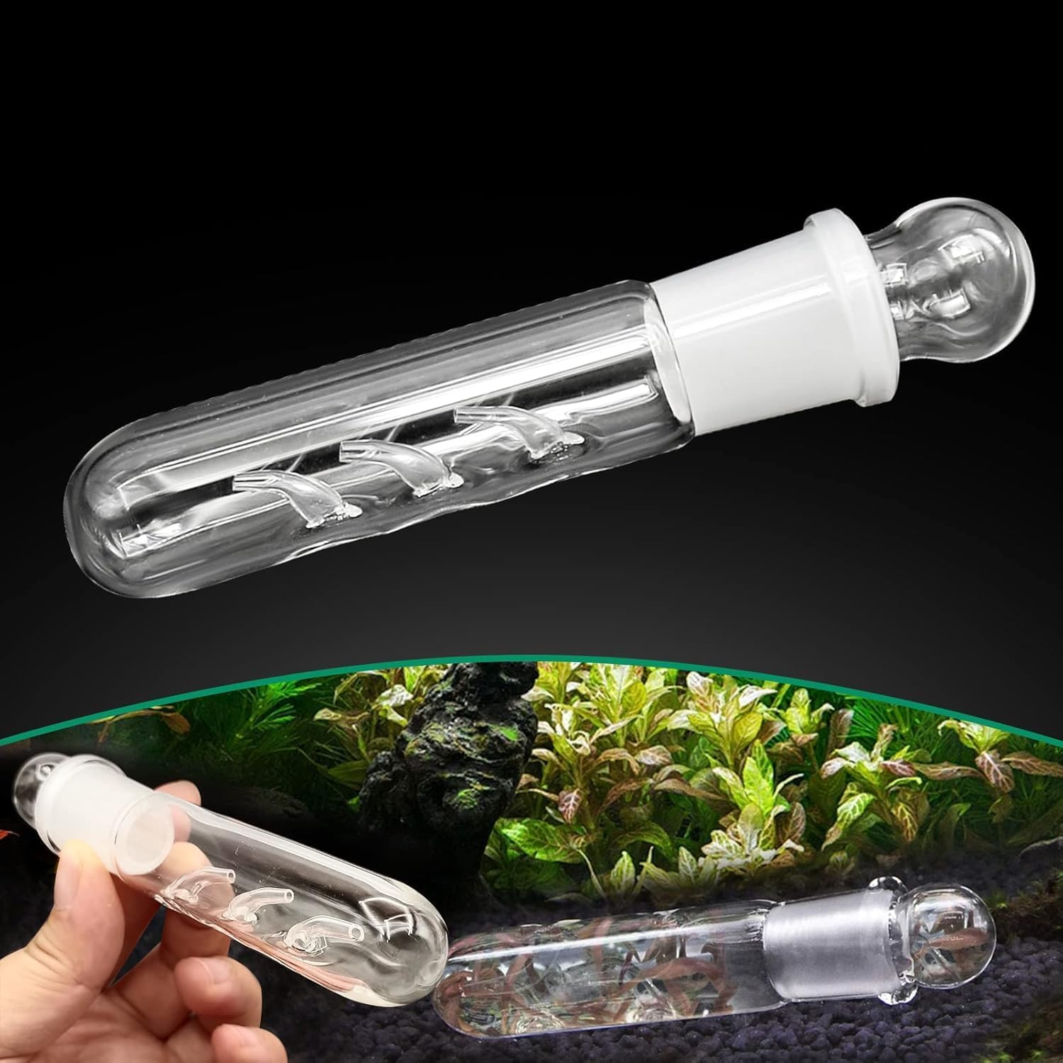 Planaria Aquarium Trap Leeches Catcher, 3Pcs Planaria Trap Shrimp Tank Aquarium Bristle Worm Leech Flatworm, Glass Leech and Bristle Worm Catcher for Shrimp Tank image number 6