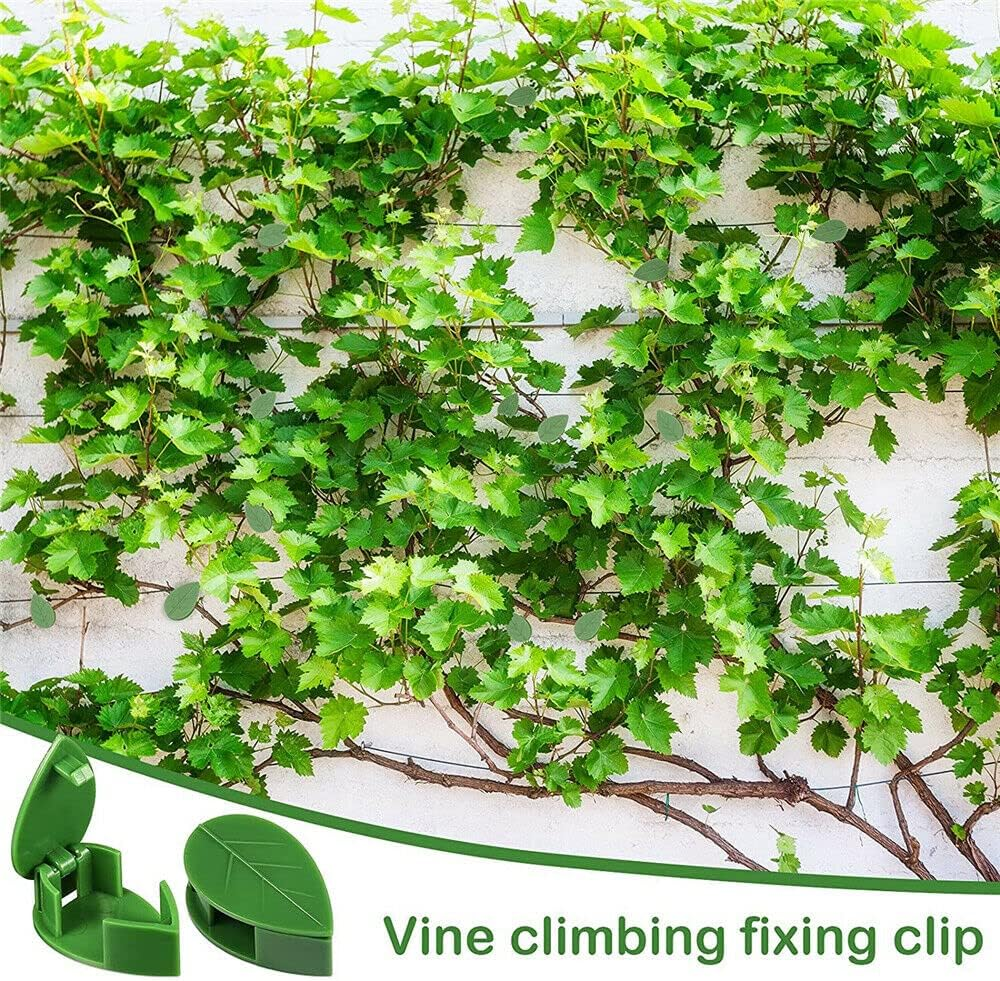 100X Plant Climbing Wall Fixture Hooks Fixing Self-Adhesive Invisible Clips image number 5