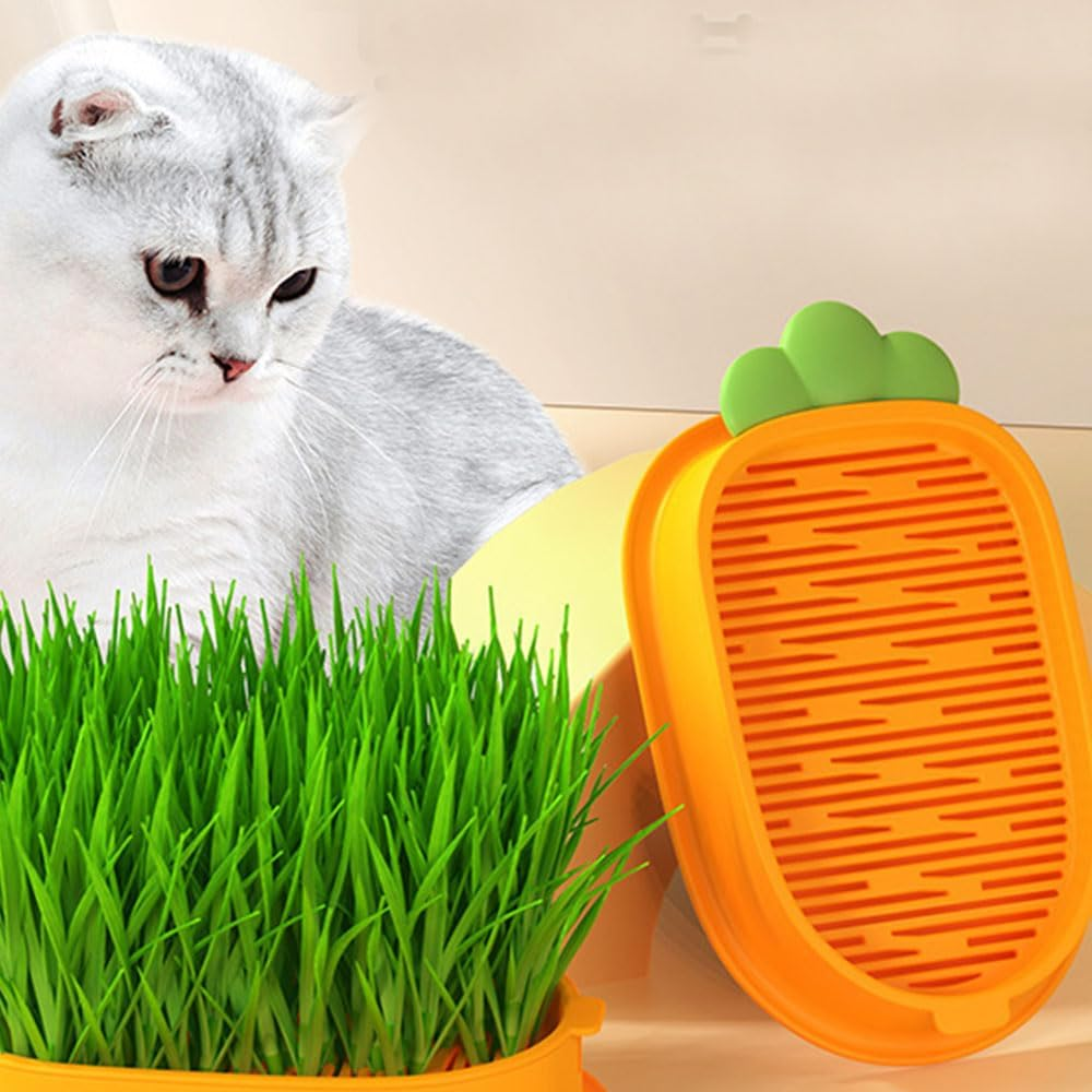 Cat Grass Growth Kit Hydroponic Planter for Cat Grass Box for Planting Cat Grass Organic Cat Grass for Pets for Dogs and Cats image number 1