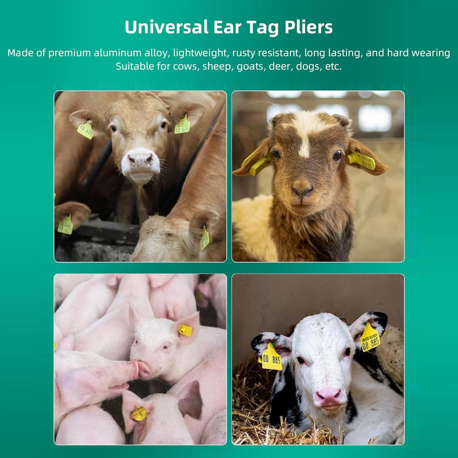 Livestock Ear Tag Applicator Green, Cattle Ear Tagger Vertical Insertion, Automatic Rebound, Ear Tag Animal Tool for Cows Goats Sheep Pigs Animal Identification Earring Tagger image number 5
