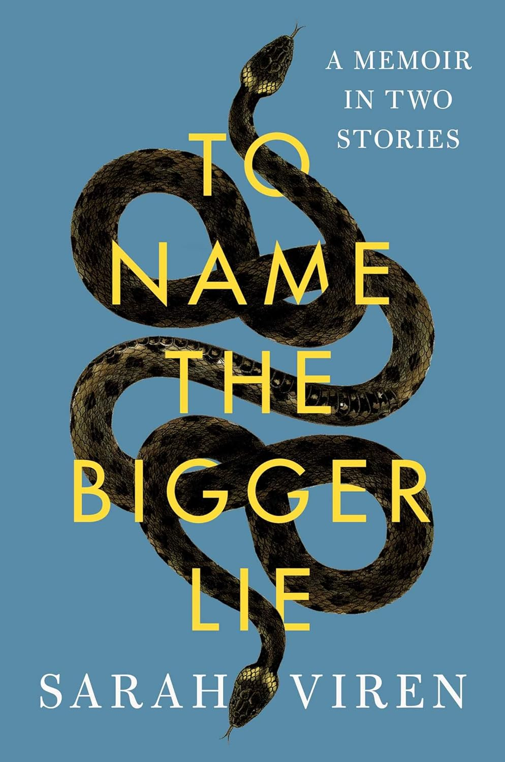 To Name the Bigger Lie: a Memoir in Two Stories image number 2