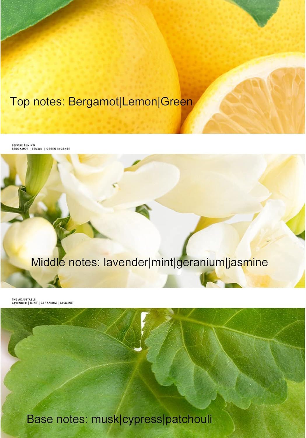 BHCASE Men'S Perfume 55Ml Spray Lasting Light Fragrance Long Lasting Perfume image number 5