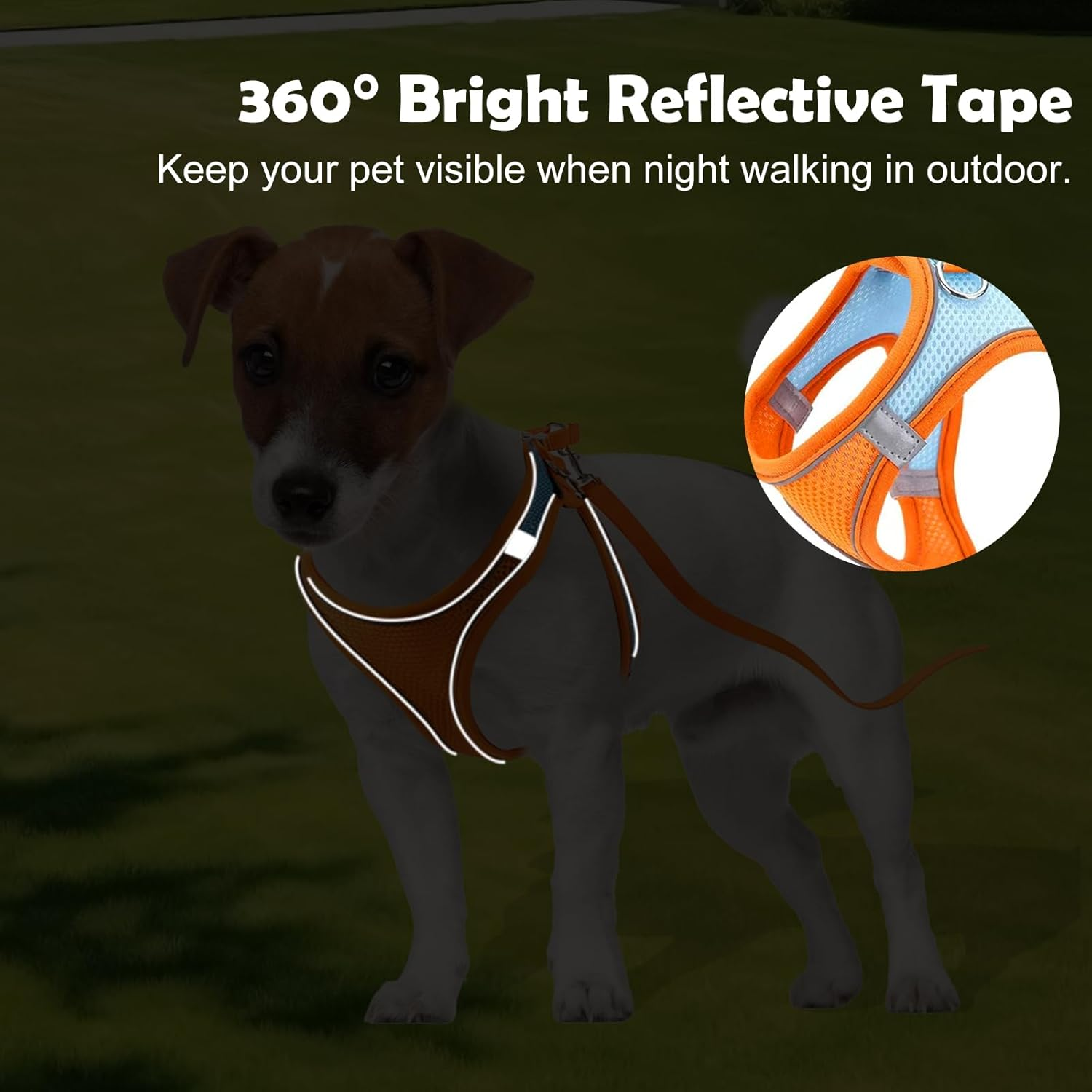 Adjustable Cat Harness, Air Mesh Breathable Chest Harness with 1.5 M Lead, Soft Padded Dog Harness, Cat Lead Kitten with Reflective Strips, Cat Vest (Orange, 3XS) image number 6