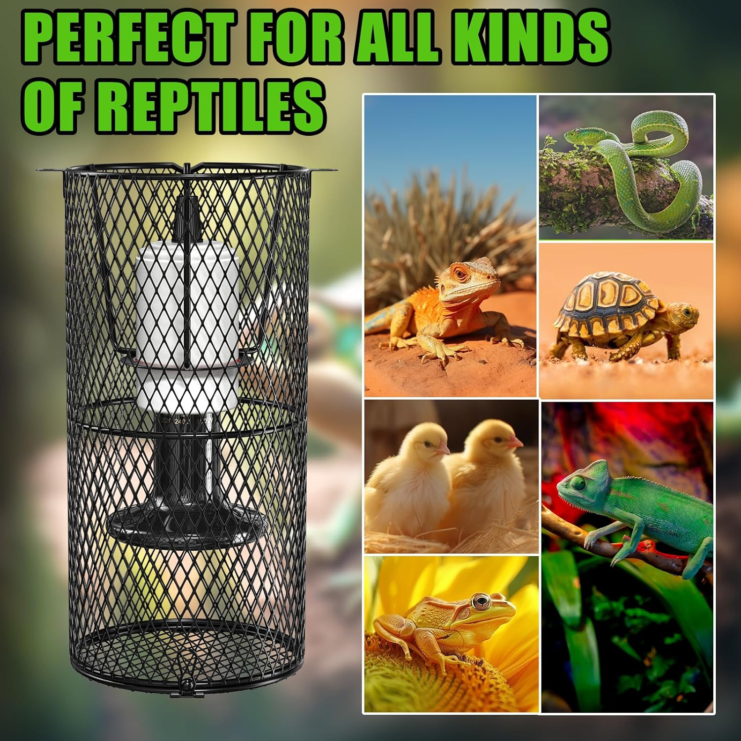 Lamptobe Reptile Heat Lamp Holder, Heat Lamp Cage for Reptile, 200W E27 Ceramic Heat Lamp Holder for Brooder Coop, Lizard, Turtle(Bulb Not Included) image number 6