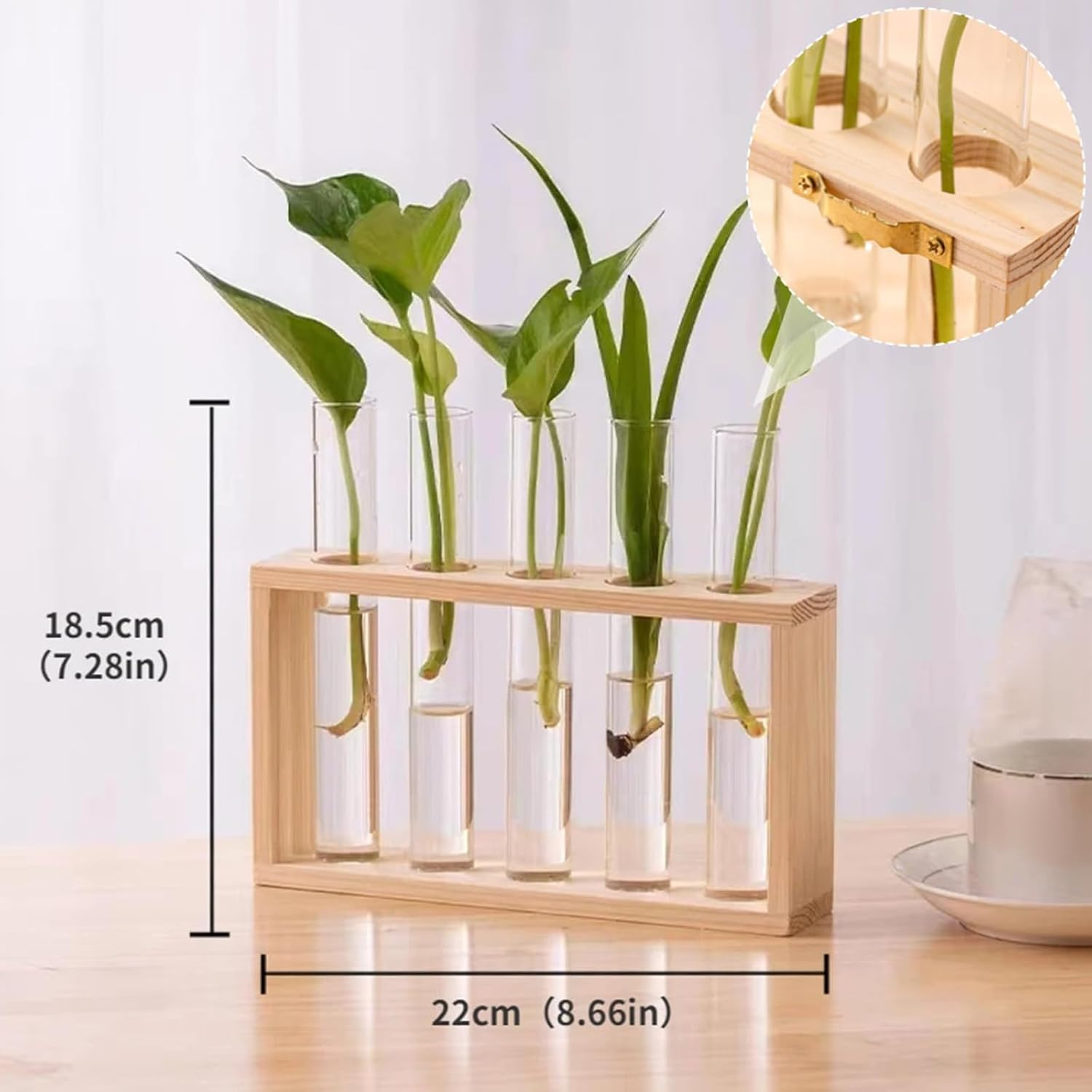 Desktop Plant Propagation Stations, Clear Cylinder Glass Foldable Vase Test Tube with Wooden Stand,Propagation Station,Gifts for Plant Lovers,5 Vases