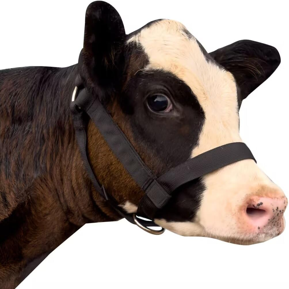 Perixir Cow Halter Cattle Halters Calf Halter，Adjustable Nylon Livestock Cattle Halter，For Miniature Horse Donkey Goat Foal