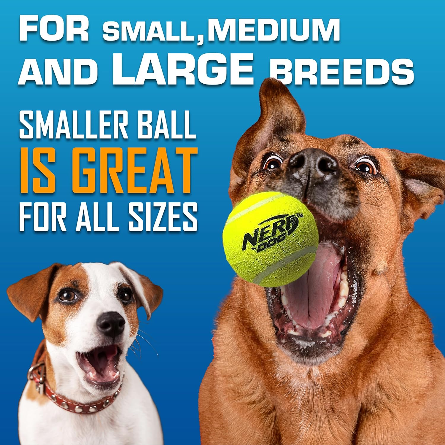 Nerf Dog Fetch Game Mega Set Dog Toy, Includes 20 Inch Tennis Ball Blaster and 12 Squeak Tennis Balls image number 3