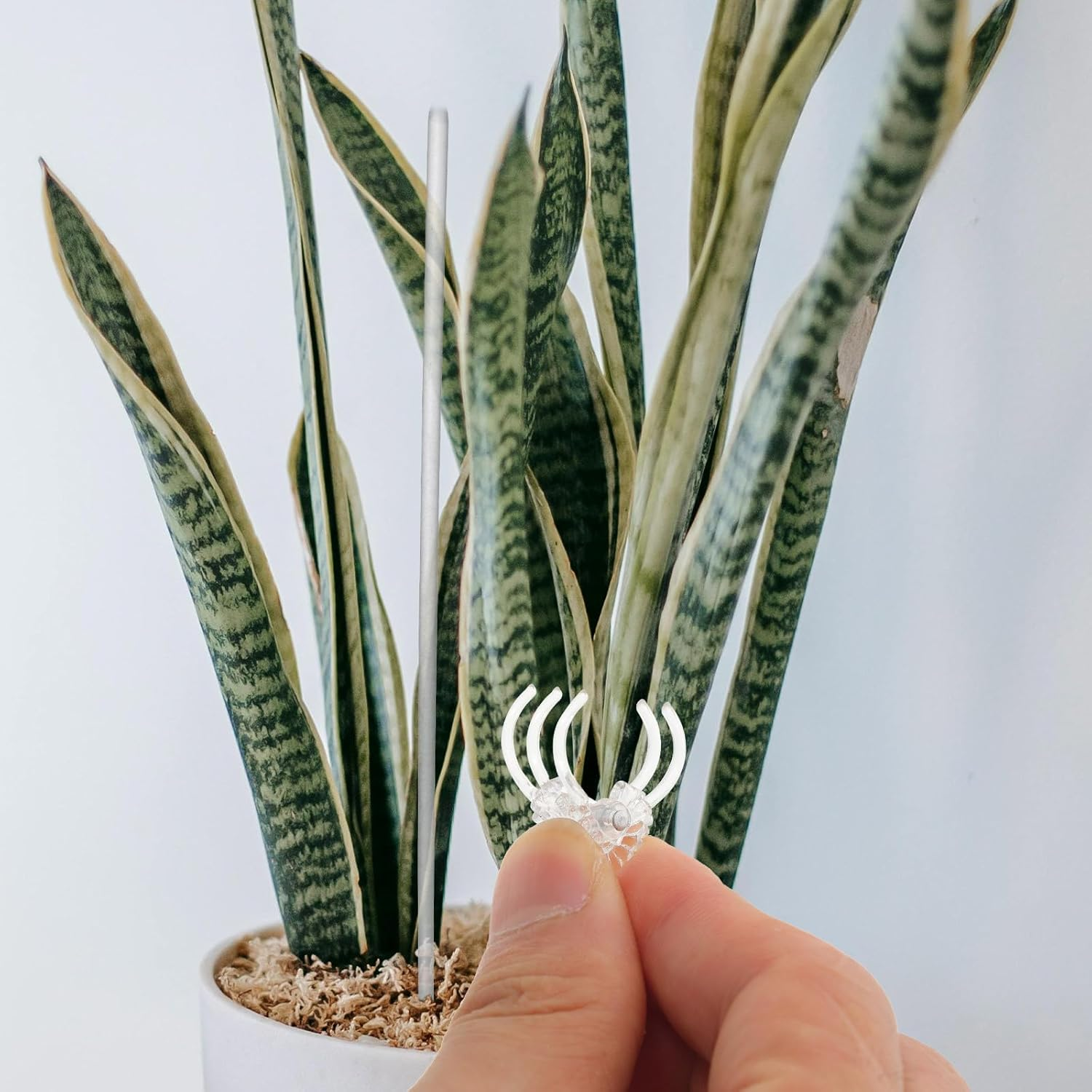 POPETPOP Orchid Stakes and Clips : 1 Set Plant Support Stakes for Indoor Plants Acrylic Plant Stakes Plant Sticks Plant Climbing Rod for Orchid Potted Plants Tomatoes image number 1