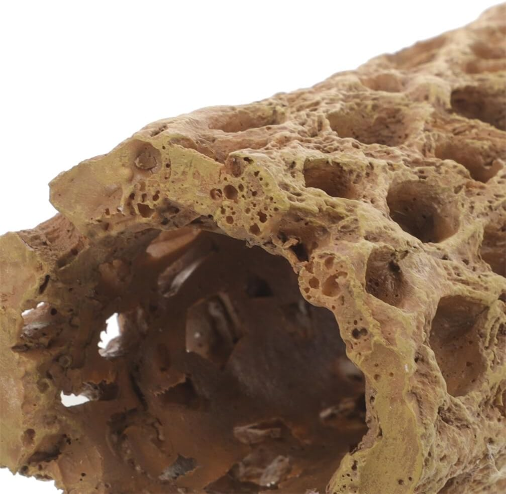 Milisten 2Pcs Natural Cholla Wood Logs for Shrimp Habitat Food Treat Hermit Crabs Plecos Aquarium Decoration Lowers Ph Hideouts Chew Toys Reptiles Thorn Dried Organic image number 1