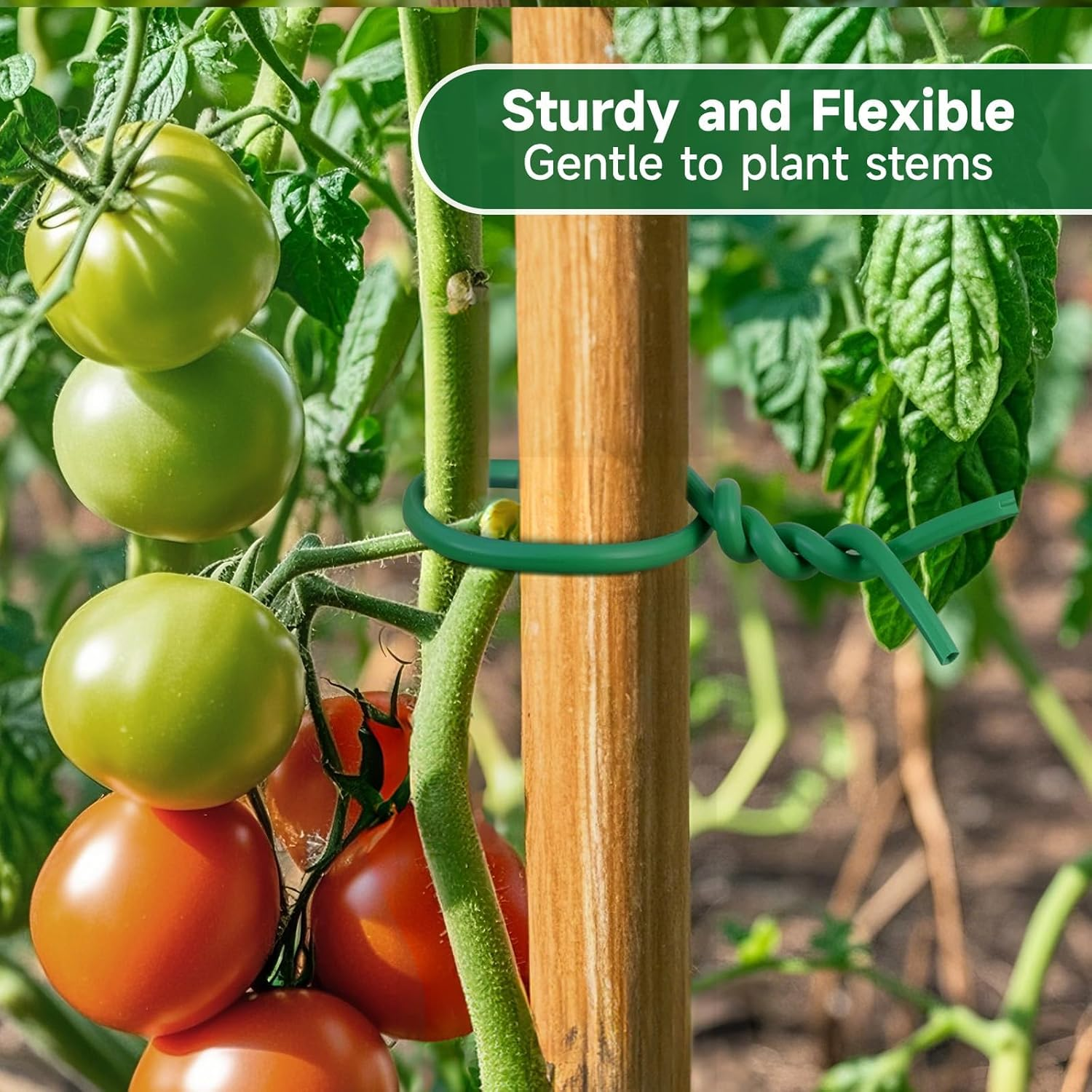 Soft Garden Plant Ties for Outdoor Plants, Flexible and Reusable Wire Ties for Climbing Plants Support, 3.5Mm X 20M - SZTTY (Green) - Green image number 6