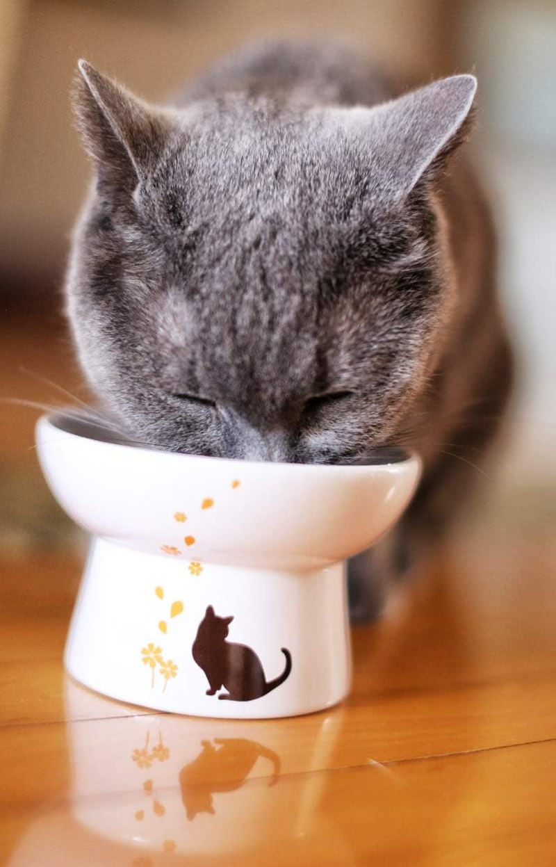 Minibees Raised Cat Bowl,Elevated, Porcelain Made, Pet Supplies, Backflow Prevention, Stress Free, Small to Medium, Safety Choice for Your Pet, Superior for Wet and Dry Food