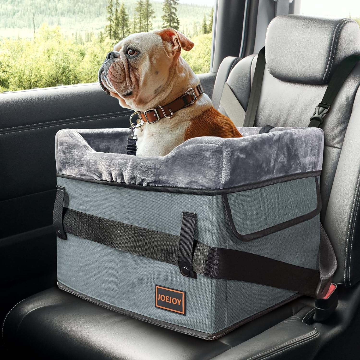 JOEJOY Small Dog Car Seat for Small Dogs, Portable Puppy Dog Booster Seat for Car with Clip-On Safety Leash, Adjustable Straps Perfect for Small Pets up to 25Lbs (Grey) image number 6