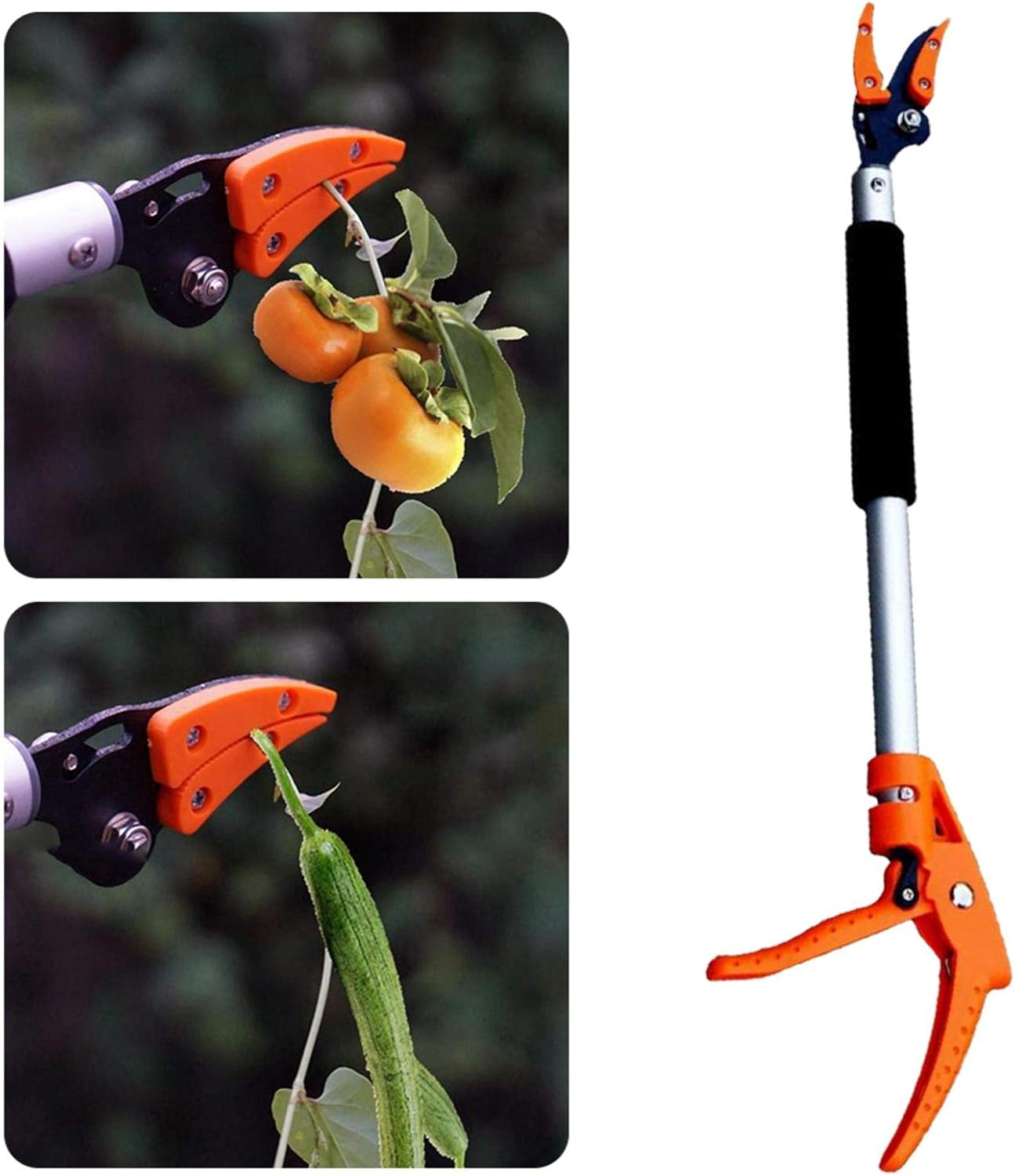 Pruners for Tree Trimming, Hold Snapper Pruner Long Handle Reach, 60Cm Long Distance Fruit Picker, Garden Long Reach Tree Pruner, Long Handled Secateurs for Tree Branches, Fruit Pick image number 5