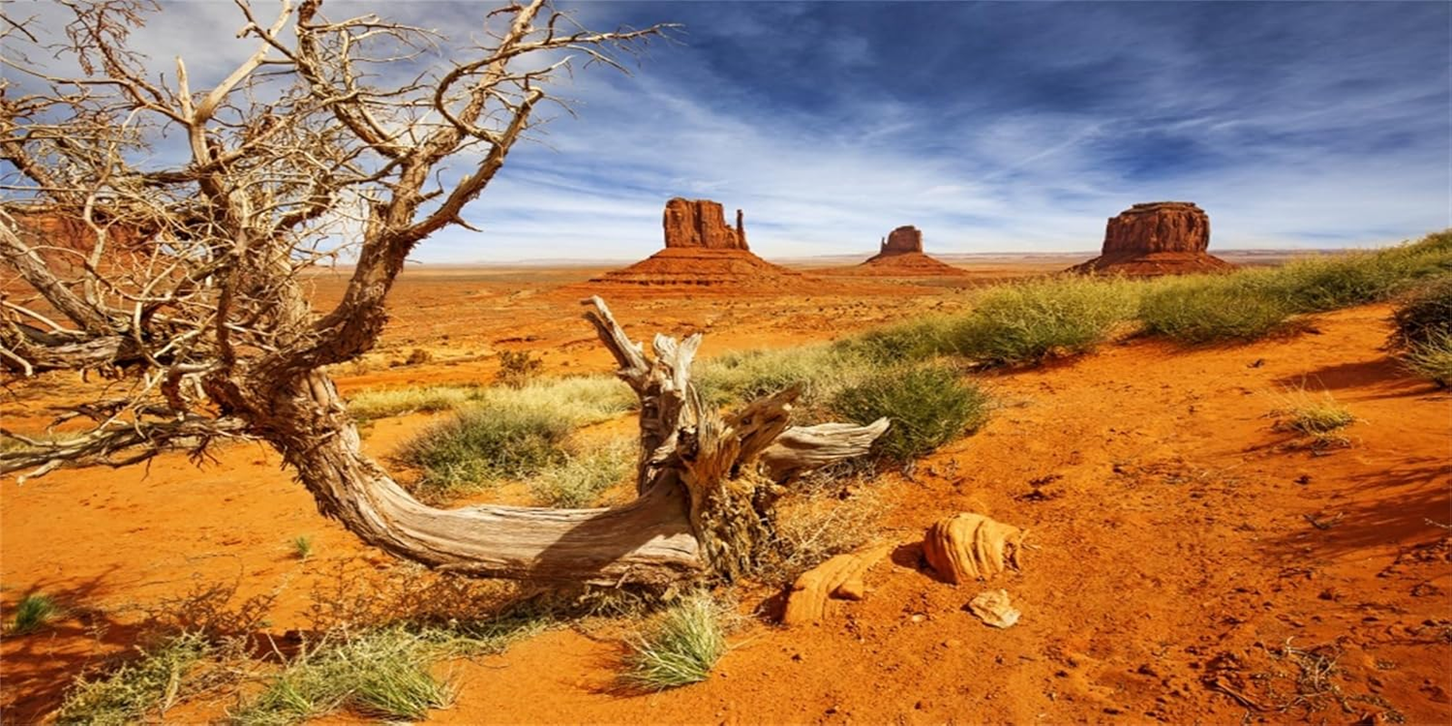 MIRRORANG 120X61Cm Durable Vinyl Aquarium Background Coral Tropical Fish Underwater World Fish Tank Background