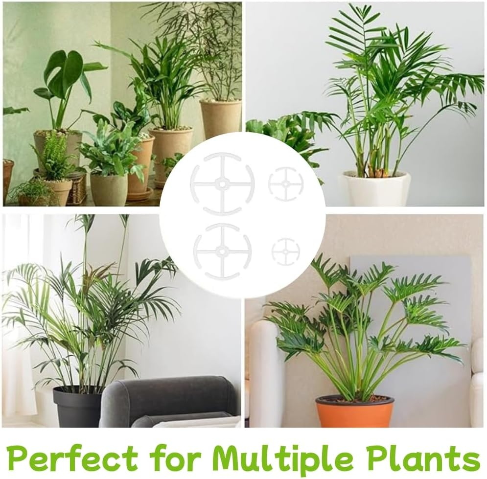 4Pcs Alocasia Plant Climbers Stem Holders, Plastic Climbing Houseplant Stem Supports,Reusable Plant Stem Hook,Growth Sticks Accessories for Climbing Plant,Indoor Plant Stakes